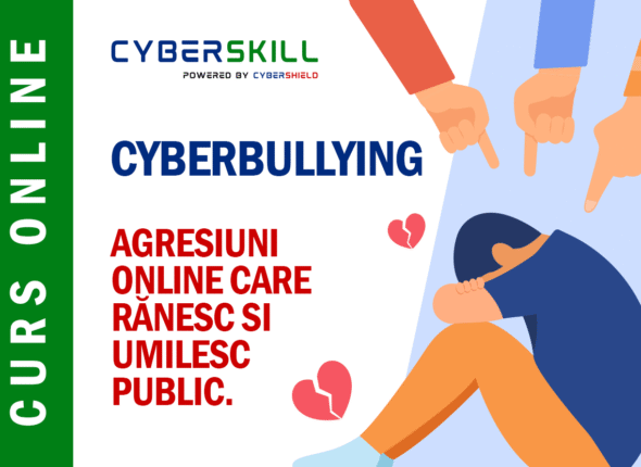 Cyberbullying